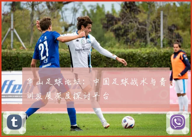 华山足球论坛:中国足球战术与青训发展深度探讨平台