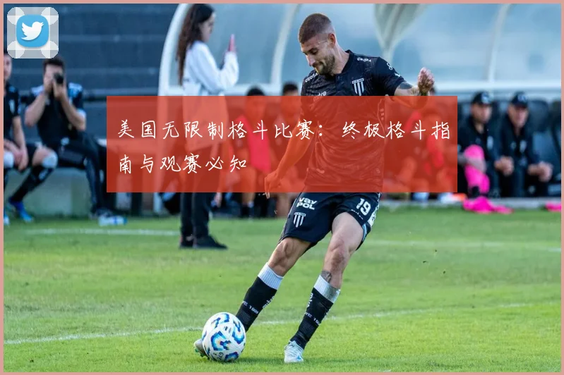 美国无限制格斗比赛:终极格斗指南与观赛必知