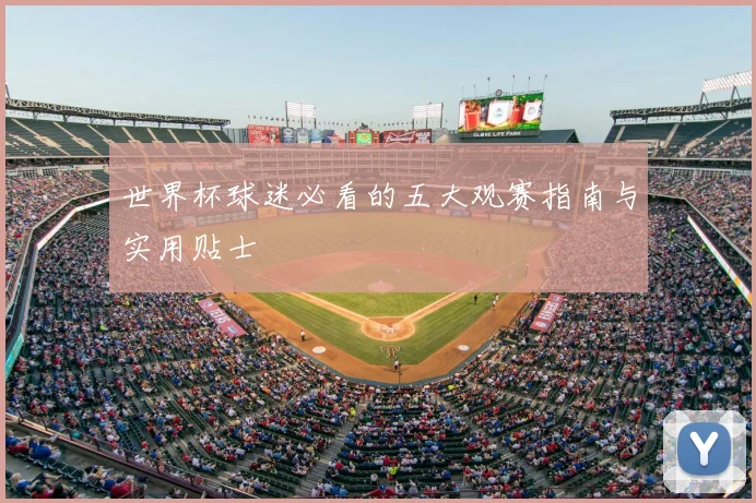 世界杯球迷必看的五大观赛指南与实用贴士